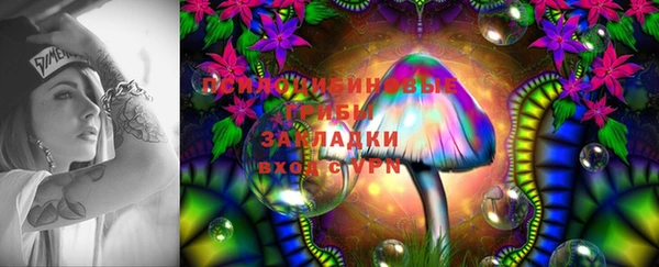 PSILOCYBIN Беломорск