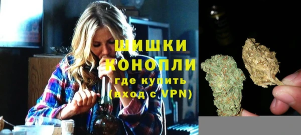 PSILOCYBIN Беломорск